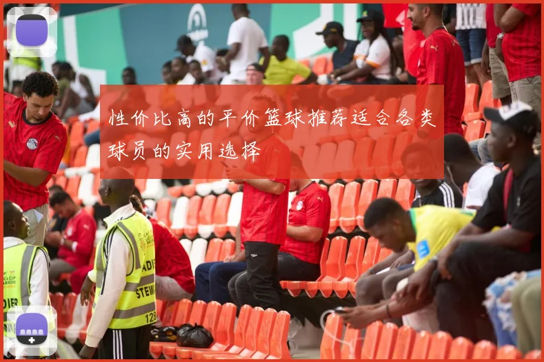 性价比高的平价篮球推荐适合各类球员的实用选择