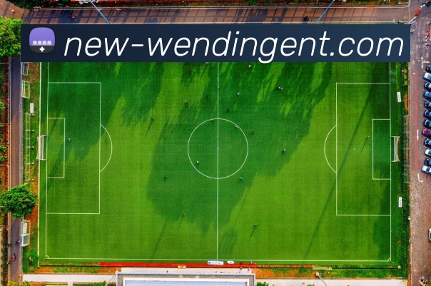 Wending平台生态图